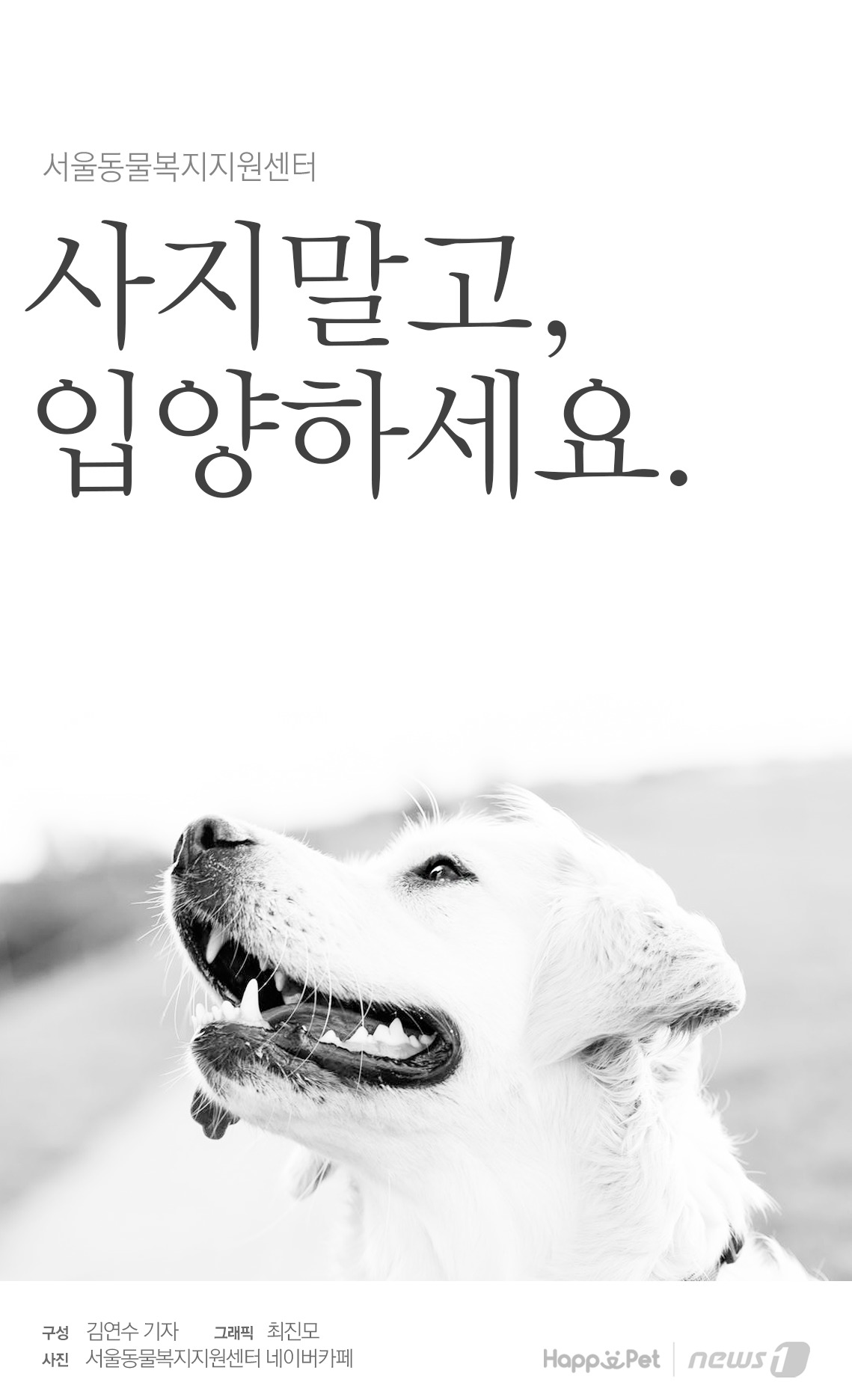사진 서울동물복지지원센터
