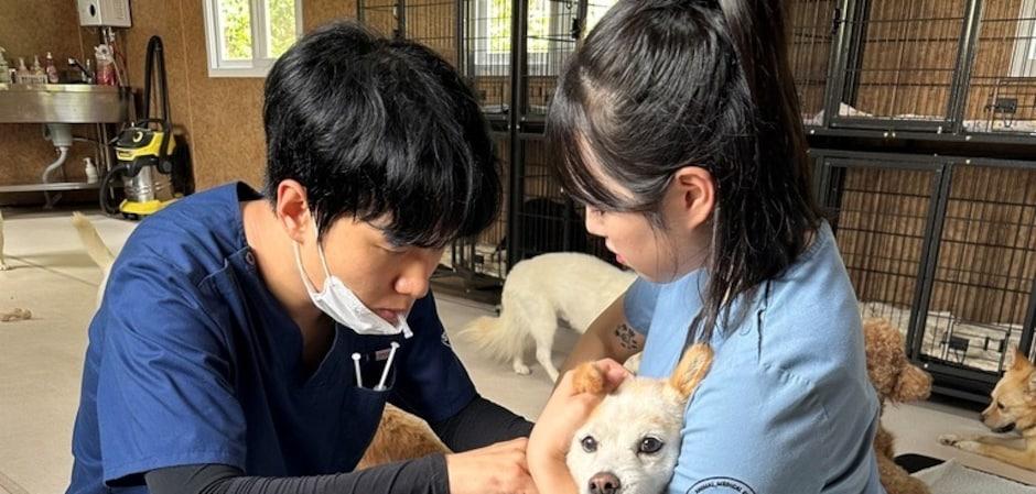 스탠다드동물의료센터-벳아너스, 유기동물보호소에 용품 후원