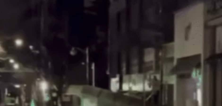 안성 공도읍 출몰한 멧돼지 5마리 중 2마리 사살