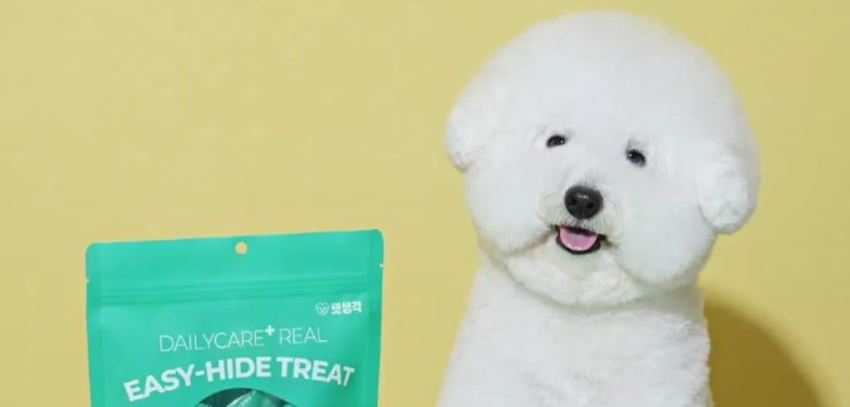 펫생각, 9일 케이펫페어 청주 참가…무료 초대권 이벤트 진행