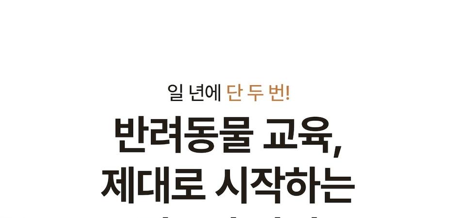 설채현 설계 커리큘럼…놀로, 반려동물 교육 전문가 과정 개설