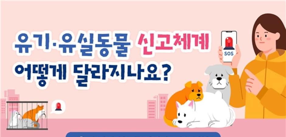 유실유기동물 발견시 상시 신고 가능해졌다…1577-0954 개설