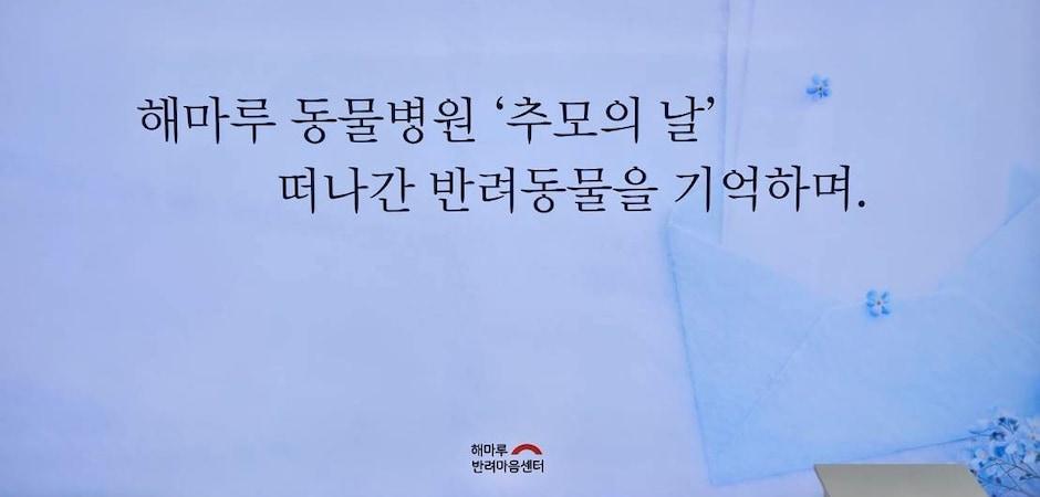 해마루동물병원 반려마음센터 '추모의 날'…"원내에서 보호자 위로"