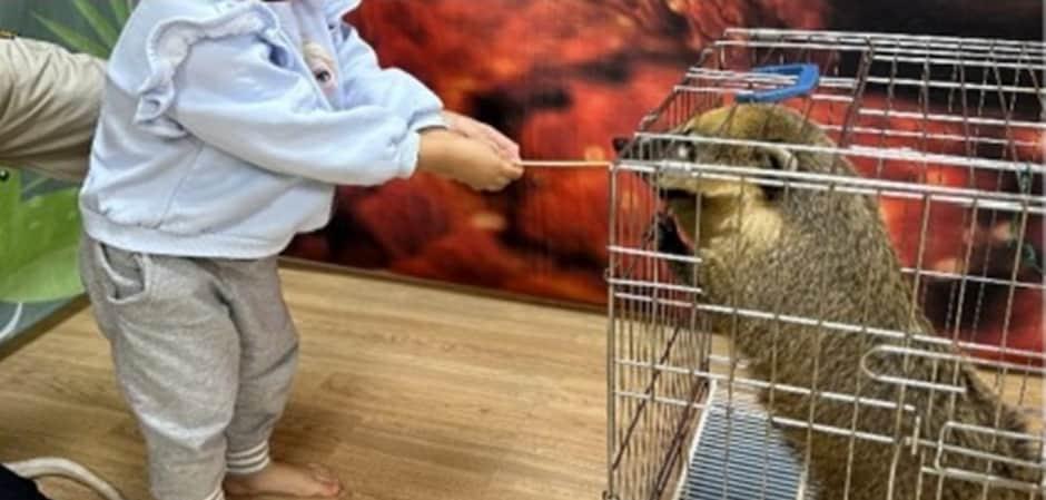 어린이 먹이주기 체험, 이대로 괜찮나…동물원 체험 실태 공개