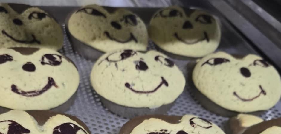 온동네 '늑구' 열풍…굿즈·빵 출시, 관광콘텐츠·스포츠까지 들썩