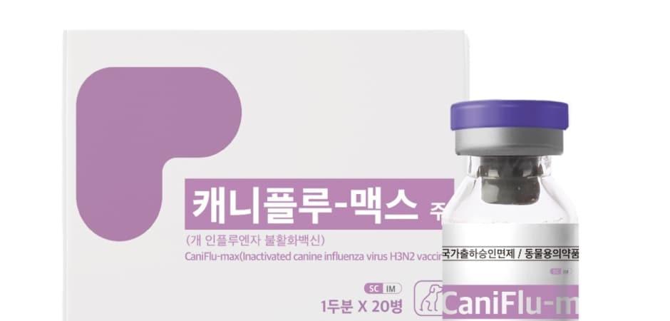 개 인플루엔자 백신, 피하 접종한다…녹십자수의약품, 추가 허가