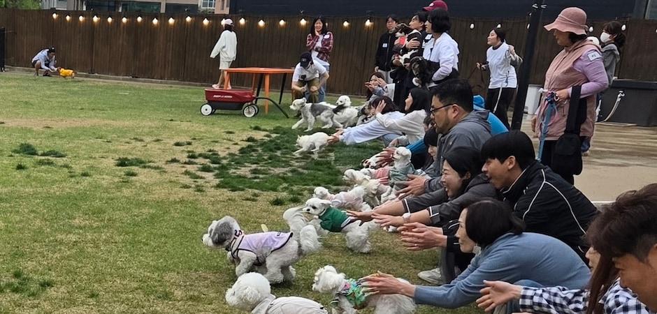 "진료실 밖에서 만났다"…라라동물의료원, 개린이날 특별 행사
