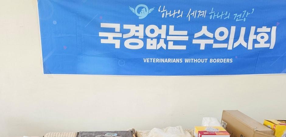 국경없는수의사회, 재개발 지역 길고양이 위해 광견병 예방접종