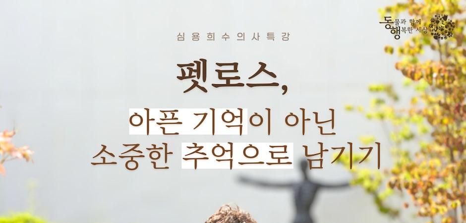 "마지막 기억에 머물지 마세요"…펫로스 치유 특강, 13일 열려