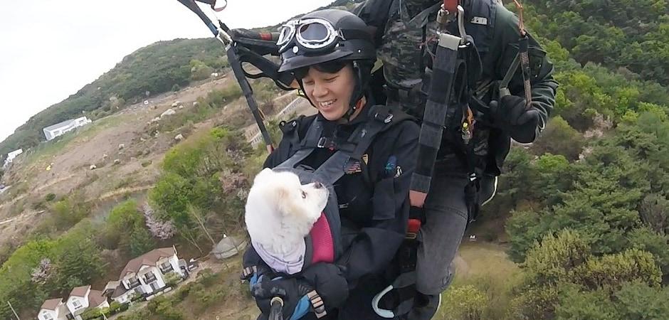 "두 번 버려졌던 강아지"…11살 두부, 보호자와 하늘을 날다