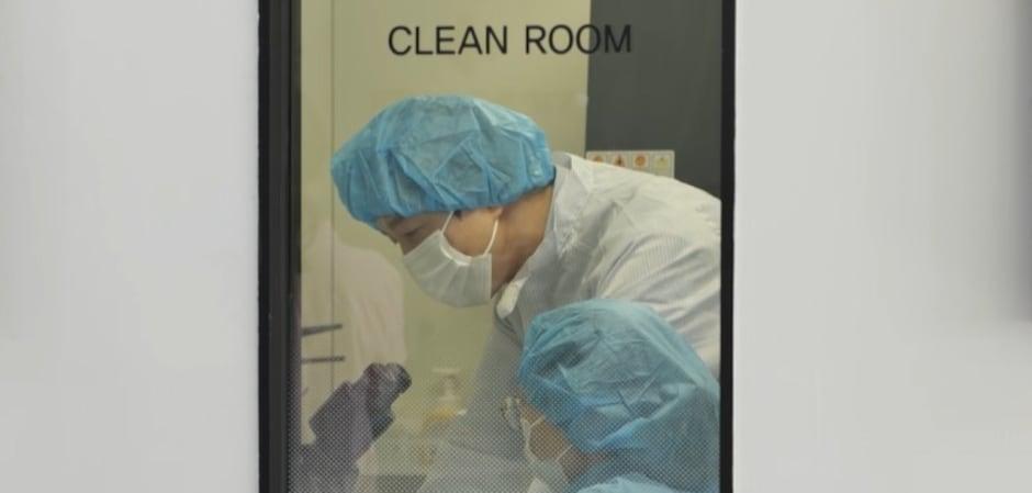 "줄기세포 치료, 犬 심장병 진행 늦춰…증상 없을 때 골든타임"