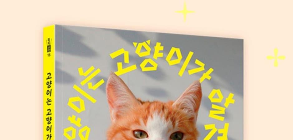 이용한 작가 '고양이는 고양이가 알려드림' 북펀드 진행…8월 출간