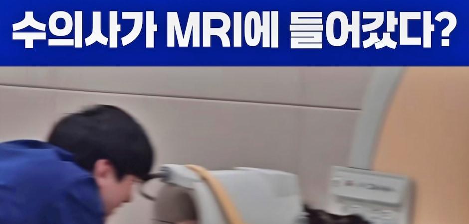 "둘만의 공간에서 사심 채우는 수의사"…MRI 무마취에 담긴 진심