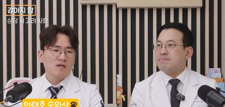 "항암 안 하면 3개월, 치료하면 1년"…강아지 암 치료의 진실