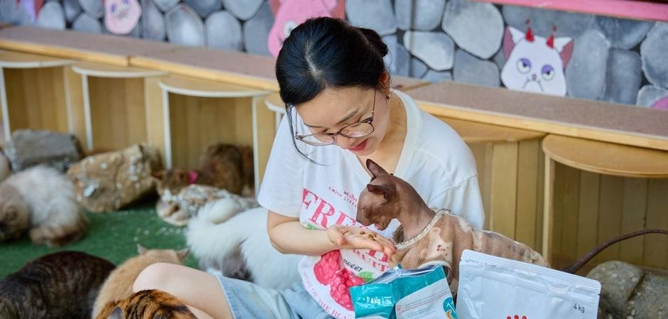 로얄캐닌, 김정난과 함께 고양이보호소에 후원…맞춤 영양 강조