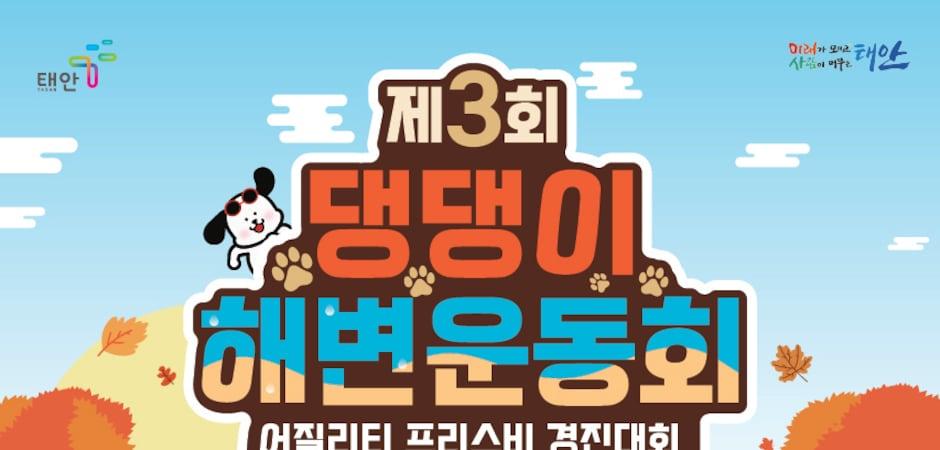 "견생샷 찍으러 꽃지 가개"…태안 댕댕이 해변운동회 9월5일 개막