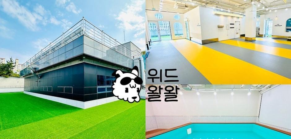 부산도시철도 2호선 장산역 인근 강아지 유치원 '위드왈왈' 들어서