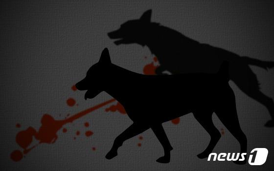 반려견 풀어 "물어"…악감정 이웃 다치게 한 60대 징역 1년