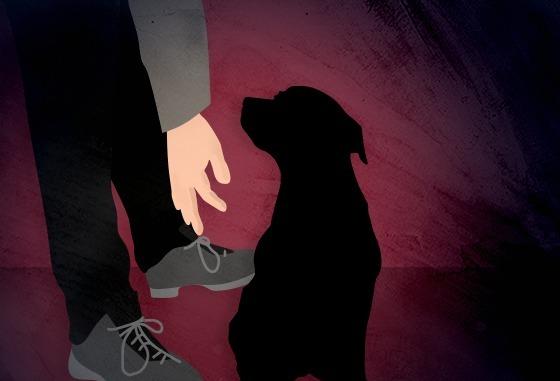 노끈에 묶인 반려견 근육 괴사…60대 견주 '벌금 200만원'