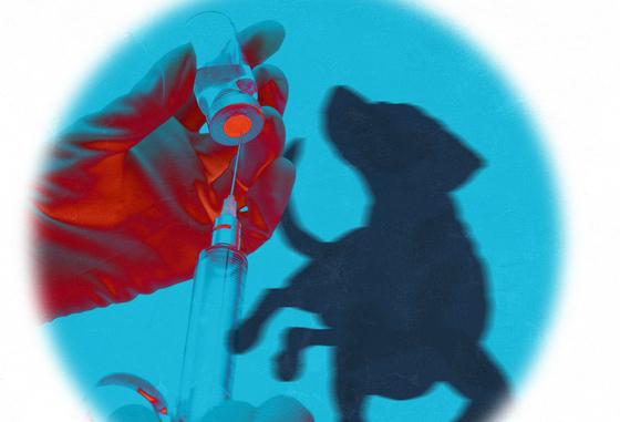 "키우다 힘들면 죽여드립니다"…동물장묘업체 살해 무혐의 논란