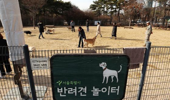 반려견놀이터 인기인데…배설물 안 치우고 물림 사고 빈발
