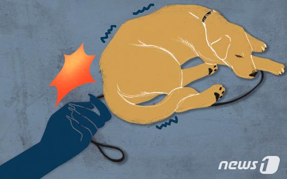 '둔기 테러' 등 동물학대 사건 속출…"처벌 수위 올려야"