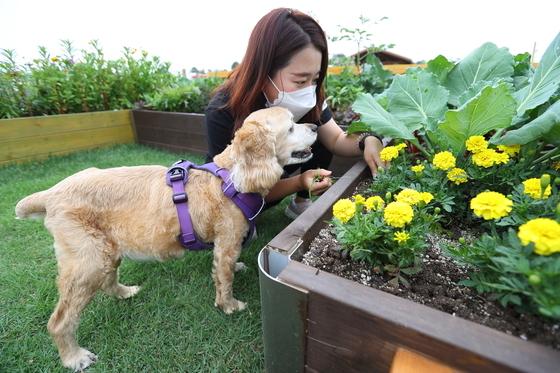 수제사료 영양 설계 간편하게…농진청, '반려동물 집밥 만들기' 개편