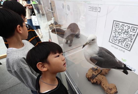 경기도, 초등 1학년 대상 '동물복지교육' 실시