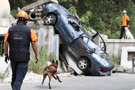 정부, 은퇴 군견·경찰견·119구조견 입양 지원…최대 100만 원 환급