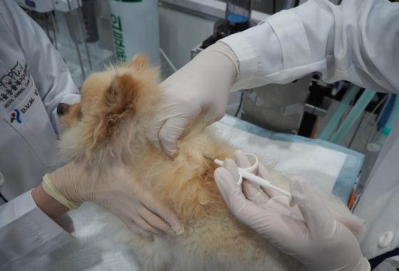 한국농촌경제연구원 "반려동물 등록제, 변경 신고 포함 개선해야"