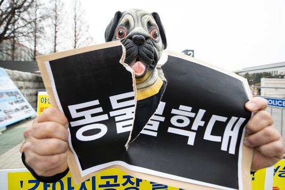 "동물학대 법정형 강화 무색…최근 5년간 실형 29명뿐"