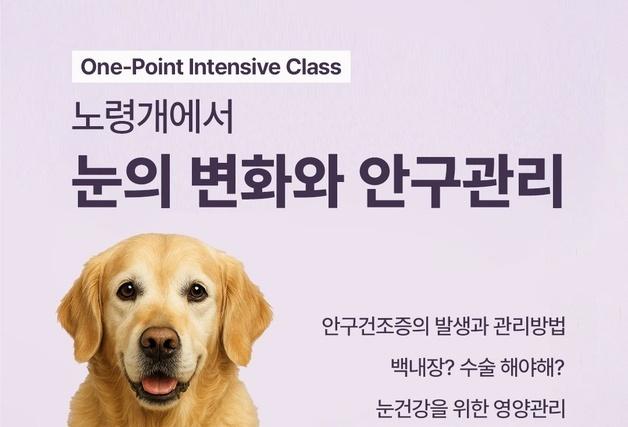 한국반려동물영양연구소, 25일 세미나…노령견 눈 건강 집중 조명