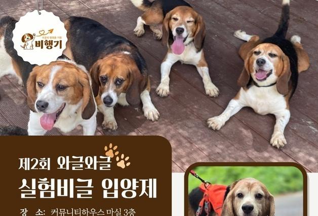 "실험 비글, 가족 만나는 날"…제2회 입양제 명동서 열린다