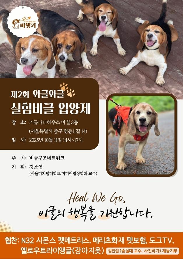 "실험 비글, 가족 만나는 날"…제2회 입양제 명동서 열린다
