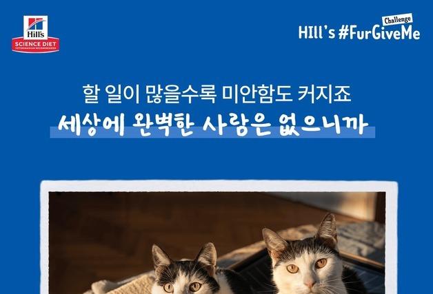 "반려동물에게 미안함을 사랑으로"…힐스, FurGiveMe 챌린지 진행