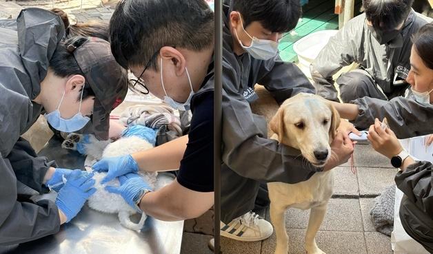사람이 준 상처 사람이 치유…해든동물의료센터 보호소에 사랑 나눠