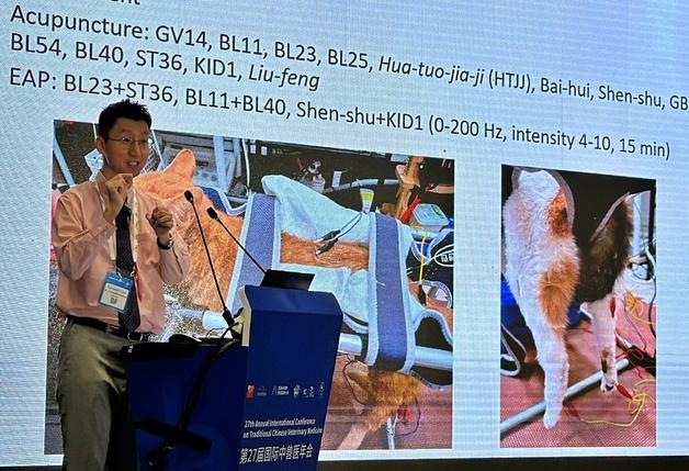 최규석 본동물의료센터 원장, ICTCVM서 고양이 재활 증례 발표