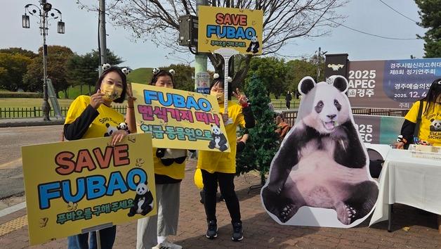 "中, 푸바오 생육환경 개선해야"…경주 도심서 동물단체 집회