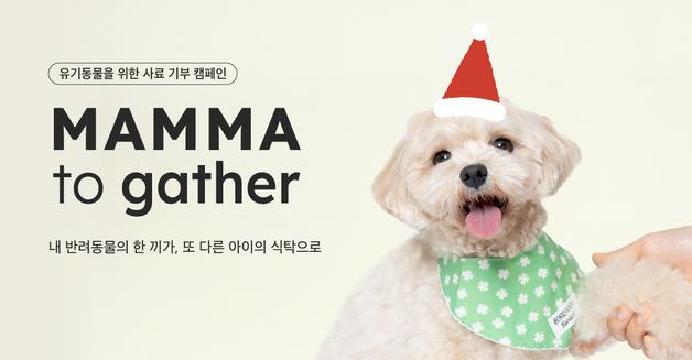 "유기견에서 광고모델로"…네츄럴코어, 따뜻한 한끼에 사랑 담았다