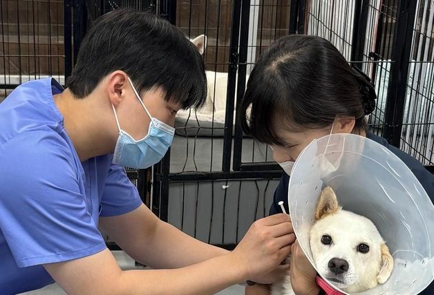 FM동물메디컬센터, 인천 보호소에 1000만원 기부…최신 MRI 도입도