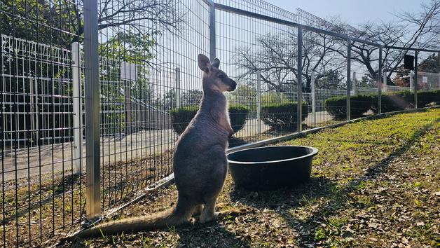 진주 진양호동물원, '멸종위기' 앵무새 등 동물 4종 18마리 추가