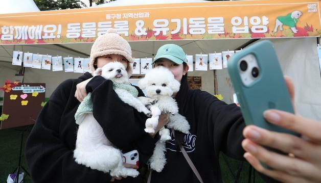 반려가족 한자리…대전 동구 ‘2025 펫비트 페스타’ 성료