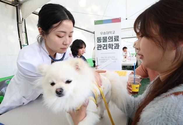 저소득층 반려동물 미용 지원…대덕구, 봉사단 '리루'와 업무협약
