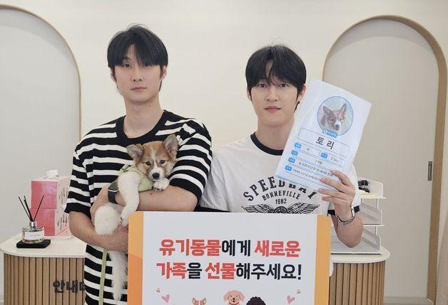 '안락사 위기' 유기견 20마리…3개월 만에 '새 가족' 생겼다