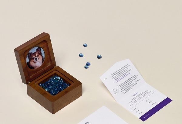 포포즈, 지속 가능한 장례 후 추모 서비스 강화