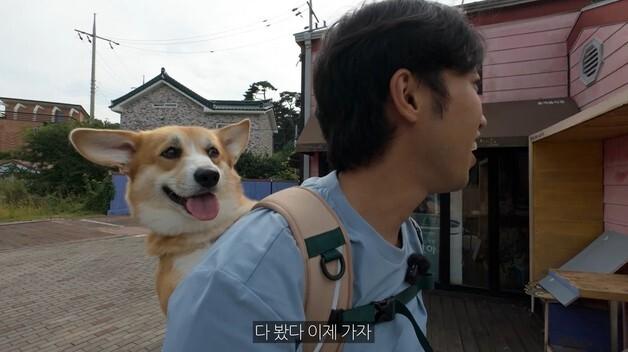 태안군 '반려동물 동반여행 콘텐츠 공모전' 수상작 18편 선정