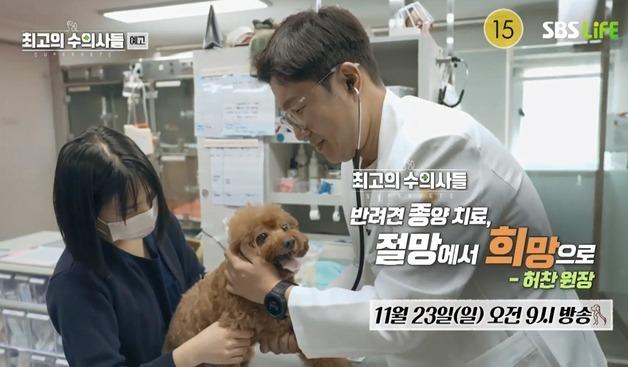 반려동물 종양, 새 방사선 치료법은…'최고의 수의사들' 23일 방송