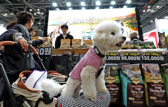 내달 '반려동물 동반 음식점제' 시행…식약처, 준수사항 안내