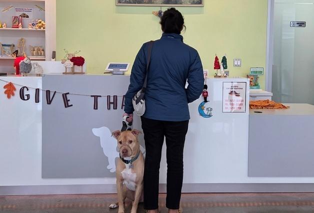 "美 수의사는 청진만 해도 10만원…진료비 표준화? 말 안 돼"