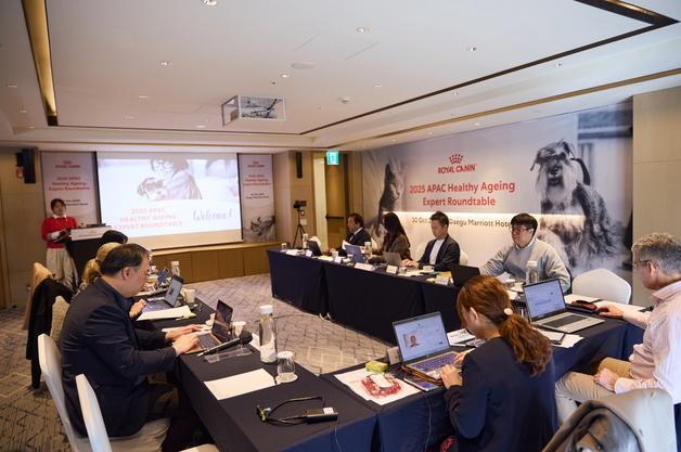 노령견 늘었는데 3%만 노령식 급여…로얄캐닌, '건강한 노화' 논의